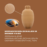 Design Vase | Rom | Muschel