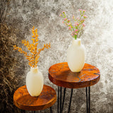 Design Vase | Rom | Multipack