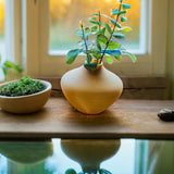 Design Vase | Neapel | Muschel