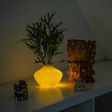 Design Vase | Neapel | Jakobsmuschel