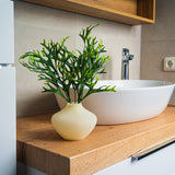 Design Vase | Neapel | Duo-Bundle