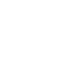 Vaseo